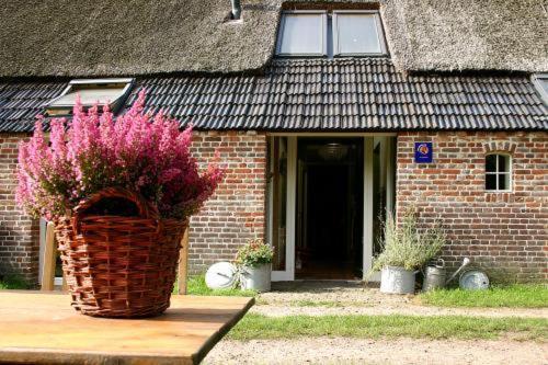 Bed&Breakfast Annen Eksteriør bilde